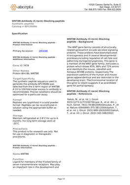 WNT8B Antibody (C-Term) Blocking Peptide Synthetic Peptide Catalog # Bp13948b