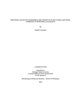 Mortierellaceae Phylogenomics and Tripartite Plant-Fungal-Bacterial Symbiosis of Mortierella Elongata
