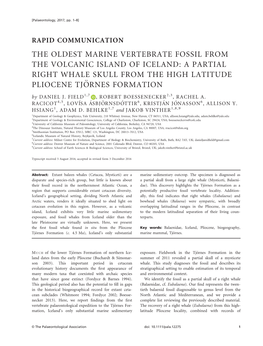 THE OLDEST MARINE VERTEBRATE FOSSIL from the VOLCANIC ISLAND of ICELAND: a PARTIAL RIGHT WHALE SKULL from the HIGH LATITUDE PLIOCENE TJORNES€ FORMATION by DANIEL J