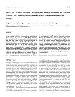 Mouse Dll3: a Novel Divergent Delta Gene Which May Complement the Function of Other Delta Homologues During Early Pattern Formation in the Mouse Embryo