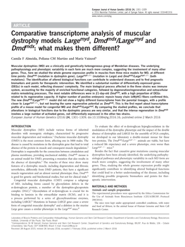 Comparative Transcriptome Analysis of Muscular Dystrophy Models Largemyd, Dmdmdx&Sol