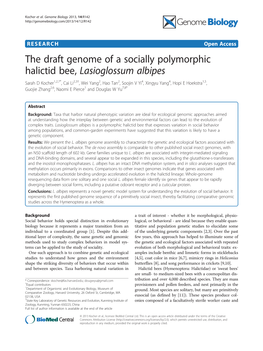 The Draft Genome of a Socially Polymorphic Halictid Bee