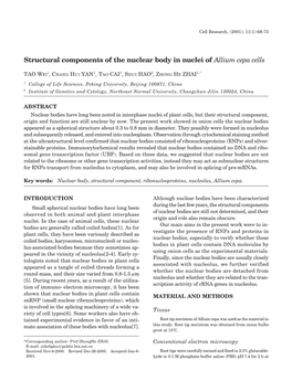 Structural Components of the Nuclear Body in Nuclei of Allium Cepa Cells