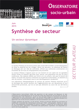 Synthèse De Secteur