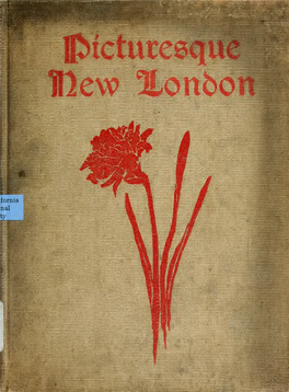 PICTURESQUE NEW LONDON and ITS ENVIRONS —©Roton == Mivstic == Imontville == Uuaterford—