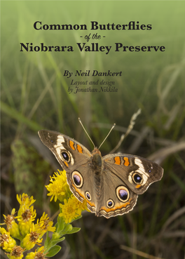 Common Butterflies Niobrara Valley Preserve