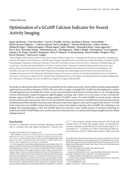 Optimization of a Gcamp Calcium Indicator for Neural Activity Imaging