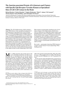 The Junction-Associated Protein AF-6 Interacts and Clusters with Specific