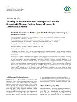 Review Article Focusing on Sodium Glucose Cotransporter-2 and the Sympathetic Nervous System: Potential Impact in Diabetic Retinopathy