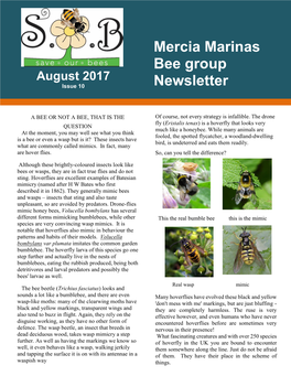 Mercia Marinas Bee Group Newsletter