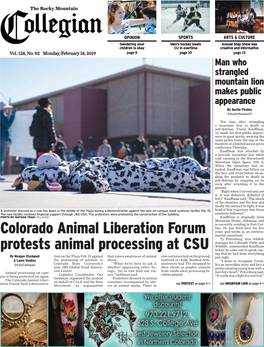 Protester Dressed As a Cow Lies Down in the Middle of the Plaza During a Demonstration Against the New On-Campus Meat Sciences Facility Feb