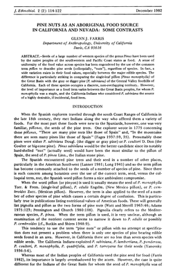 Pine Nuts As an Aboriginal Food Source in California and Nevada: Some Contrasts