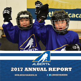 2017 Annual Report