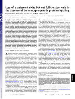 Loss of a Quiescent Niche but Not Follicle Stem Cells in the Absence of Bone Morphogenetic Protein Signaling