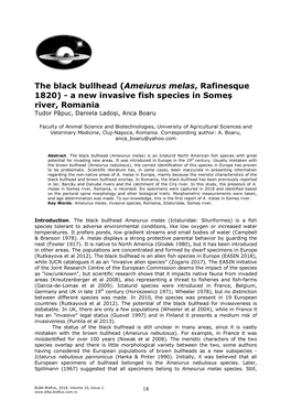 The Black Bullhead (Ameiurus Melas, Rafinesque 1820) - a New Invasive Fish Species in Someș River, Romania Tudor Păpuc, Daniela Ladoși, Anca Boaru