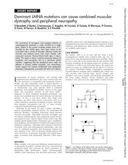 Dominant LMNA Mutations Can Cause Combined Muscular Dystrophy and Peripheral Neuropathy