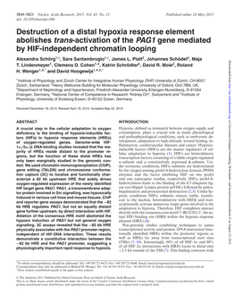 Destruction of a Distal Hypoxia Response Element Abolishes Trans-Activation of the PAG1 Gene Mediated by HIF-Independent Chromatin Looping