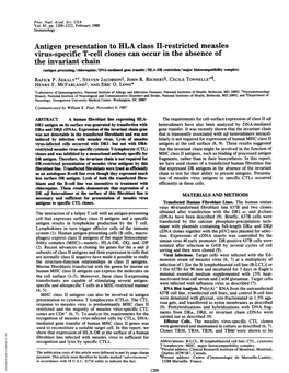 Antigen Presentation to HLA Class II-Restricted Measles