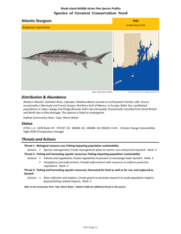 2015 Rhode Island Wildlife Action Plan