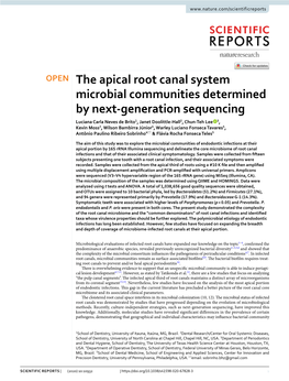 The Apical Root Canal System Microbial Communities Determined