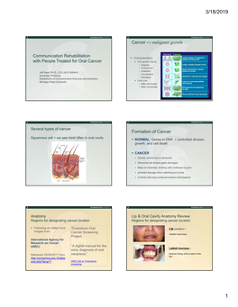 Communication Rehabilitation with People Treated for Oral Cancer