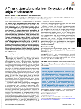 A Triassic Stem-Salamander from Kyrgyzstan and the Origin of Salamanders