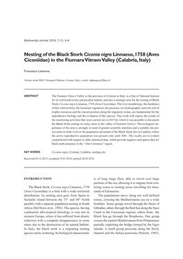 Nesting of the Black Stork Ciconia Nigra Linnaeus, 1758 (Aves Ciconiidae) in the Fiumara Vitravo Valley (Calabria, Italy)