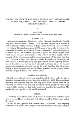 The Distribution of Pariambus Typicus Var. Inermis Mayer (Amphipoda, Caprellidae) on the Common Starfish Asterias Rubens L