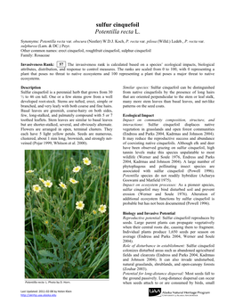 Sulfur Cinquefoil Potentilla Recta L