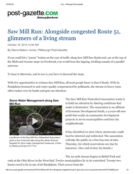 Saw Mill Run: Alongside Congested Route 51, Glimmers of a Living Stream October 18, 2015 12:00 AM by Diana Nelson Jones / Pittsburgh Post­Gazette