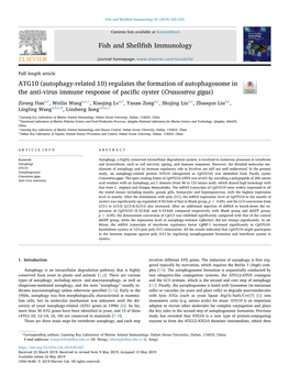 ATG10 (Autophagy-Related 10) Regulates the Formation of Autophagosome in the Anti-Virus Immune Response of Paciﬁc Oyster (Crassostrea Gigas) T