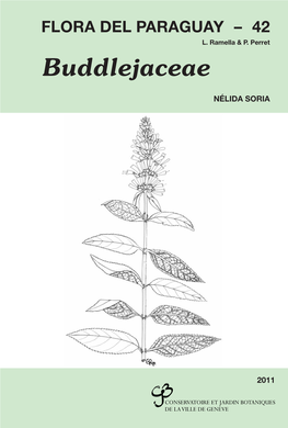 Buddlejaceae