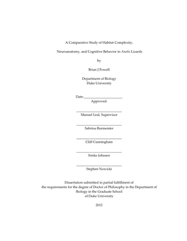 A Comparative Study of Habitat Complexity, Neuroanatomy, And