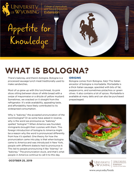 WHAT IS BOLOGNA? There’S Baloney, and There’S Bologna