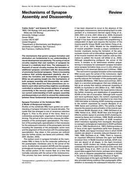 Review Mechanisms of Synapse Assembly and Disassembly