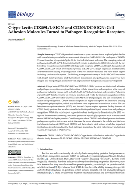 C-Type Lectin CD209L/L-SIGN and CD209/DC-SIGN: Cell Adhesion Molecules Turned to Pathogen Recognition Receptors