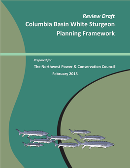 Columbia Basin White Sturgeon Planning Framework