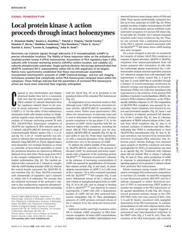 Local Protein Kinase a Action Proceeds Through Intact Holoenzymes F