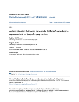 Solifugids (Arachnida, Solifugae) Use Adhesive Organs on Their Pedipalps for Prey Capture