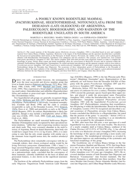 Late Oligocene) of Argentina