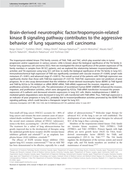 Tropomyosin-Related Kinase B Signaling Pathway Contributes to The