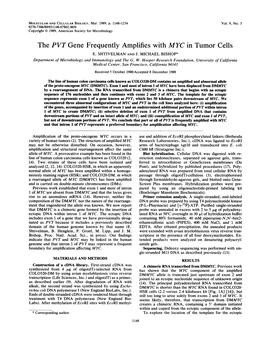 The PVT Gene Frequently Amplifies with MYC in Tumor Cells E