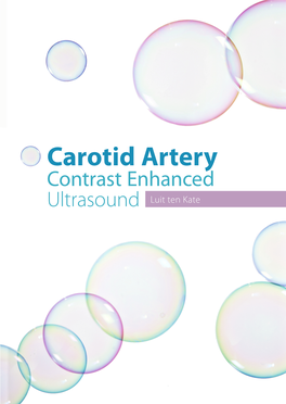 Carotid Artery Artery Carotid Contrast Enhanced Enhanced Contrast Carotid Artery Contrast Enhanced Ultrasound Luit Ten Kate Ultrasound