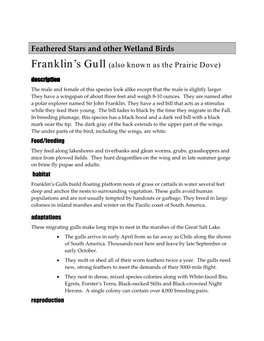 Wetland Birds Franklin’S Gull (Also Known As the Prairie Dove) Description the Male and Female of This Species Look Alike Except That the Male Is Slightly Larger