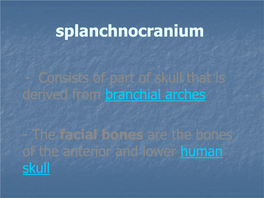 Splanchnocranium