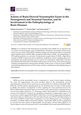 Actions of Brain-Derived Neurotrophin Factor in the Neurogenesis and Neuronal Function, and Its Involvement in the Pathophysiology of Brain Diseases