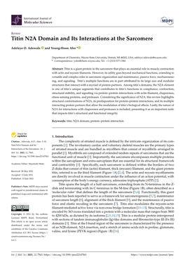 Titin N2A Domain and Its Interactions at the Sarcomere