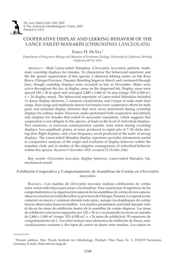 COOPERATIVE DISPLAY and LEKKING BEHAVIOR of the LANCE-TAILED MANAKIN (CHIROXIPHIA LANCEOLATA) Emily H