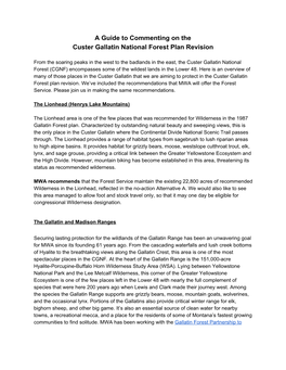 A Guide to Commenting on the Custer Gallatin National Forest Plan Revision