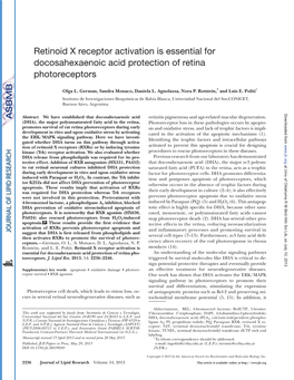 Retinoid X Receptor Activation Is Essential for Docosahexaenoic Acid Protection of Retina Photoreceptors